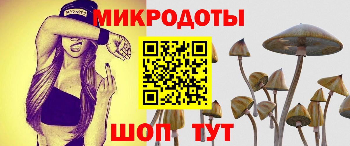 Псилоцибиновые грибы мицелий Апрелевка